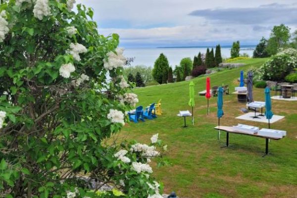 scenic photo of a beautiful farm with white flowers